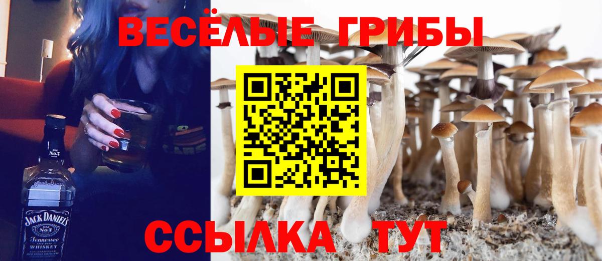 МДМА  Назарово  Вход с VPN  Меф   МАРИХУАНА  КОКАИН  ЭКСТАЗИ  Альфа ПВП СК   Гашиш 