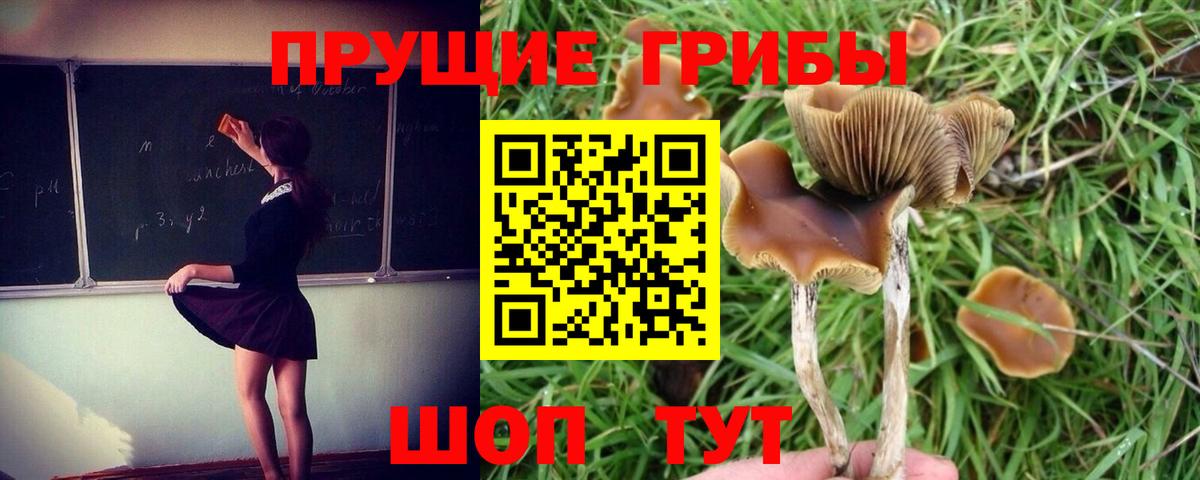 Назарово  Галлюциногенные грибы мицелий  Вход с VPN  закладки  Галлюциногенные грибы прущие грибы 